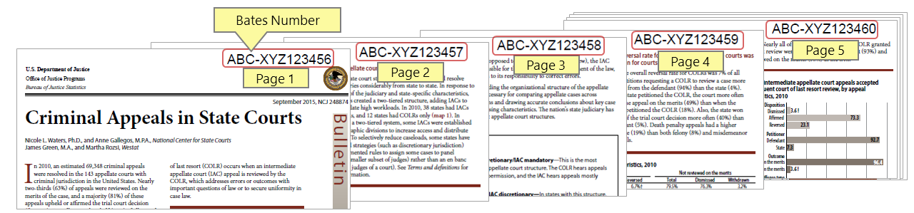 >Input PDF dociment example